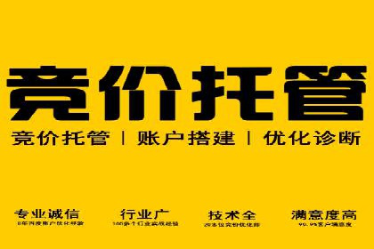 百度竞价广告案例分析：成功之道揭秘